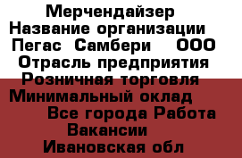 Мерчендайзер › Название организации ­ "Пегас" Самбери-3, ООО › Отрасль предприятия ­ Розничная торговля › Минимальный оклад ­ 23 500 - Все города Работа » Вакансии   . Ивановская обл.